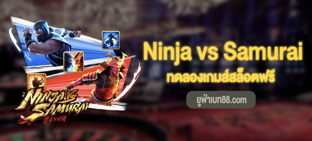 Ninja vs Samurai