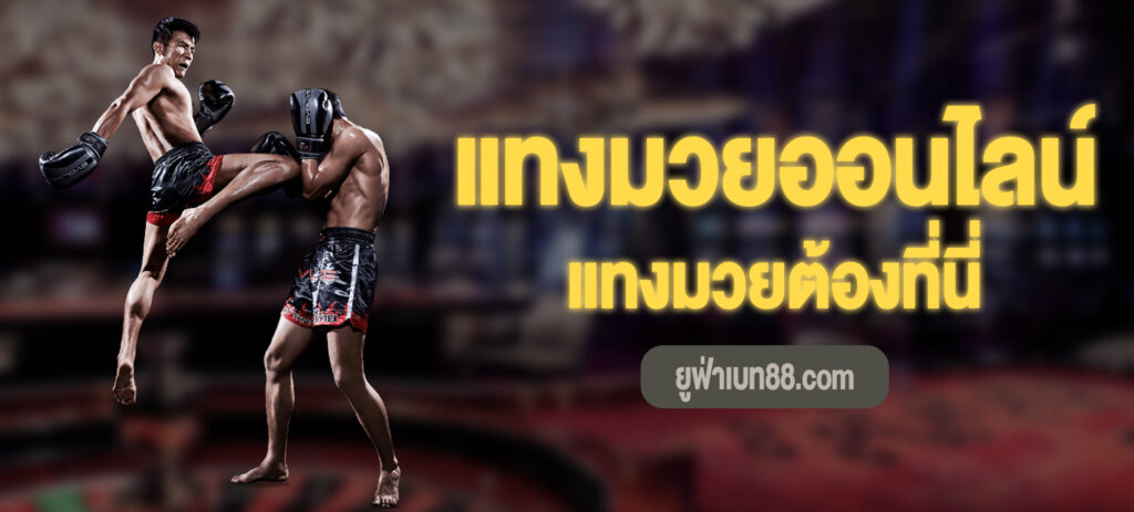 แทงมวยออนไลน์