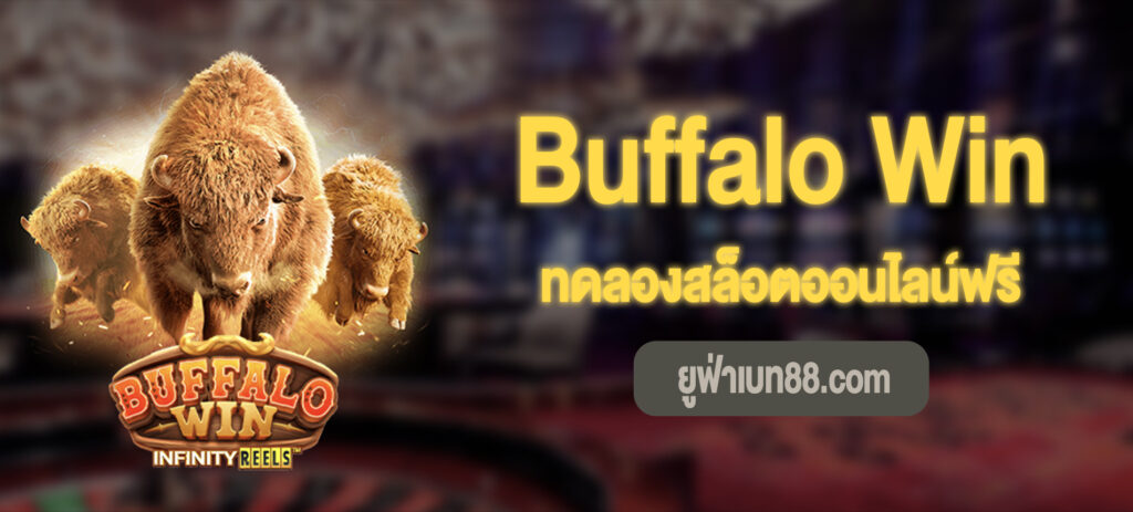 Buffalo Win สล็อตทดลองเล่นฟรี