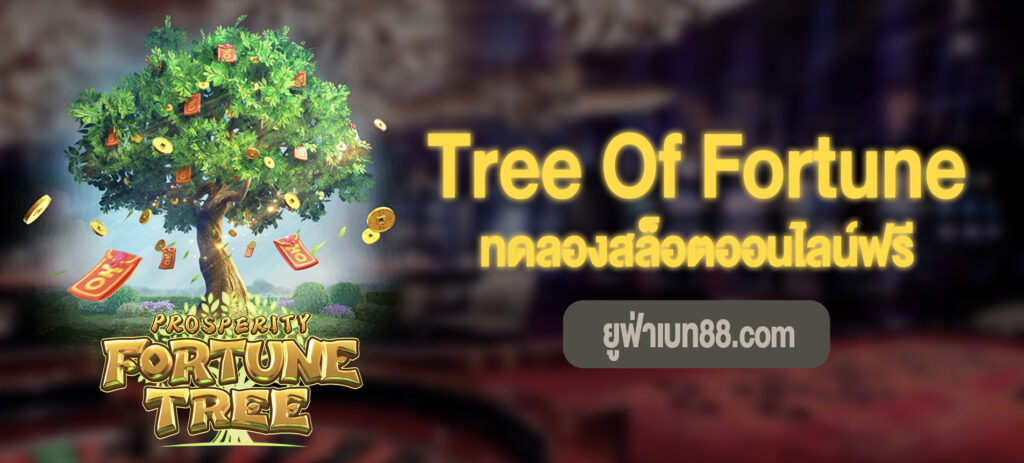 Tree Of Fortune สล็อตทดลองสล็อตออนไลน์ฟรี