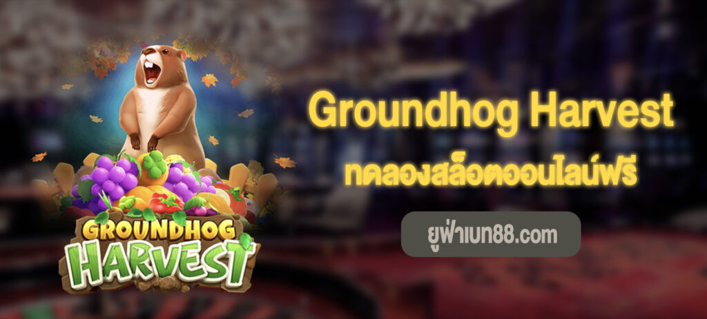 Groundhog Harvest สล็อต