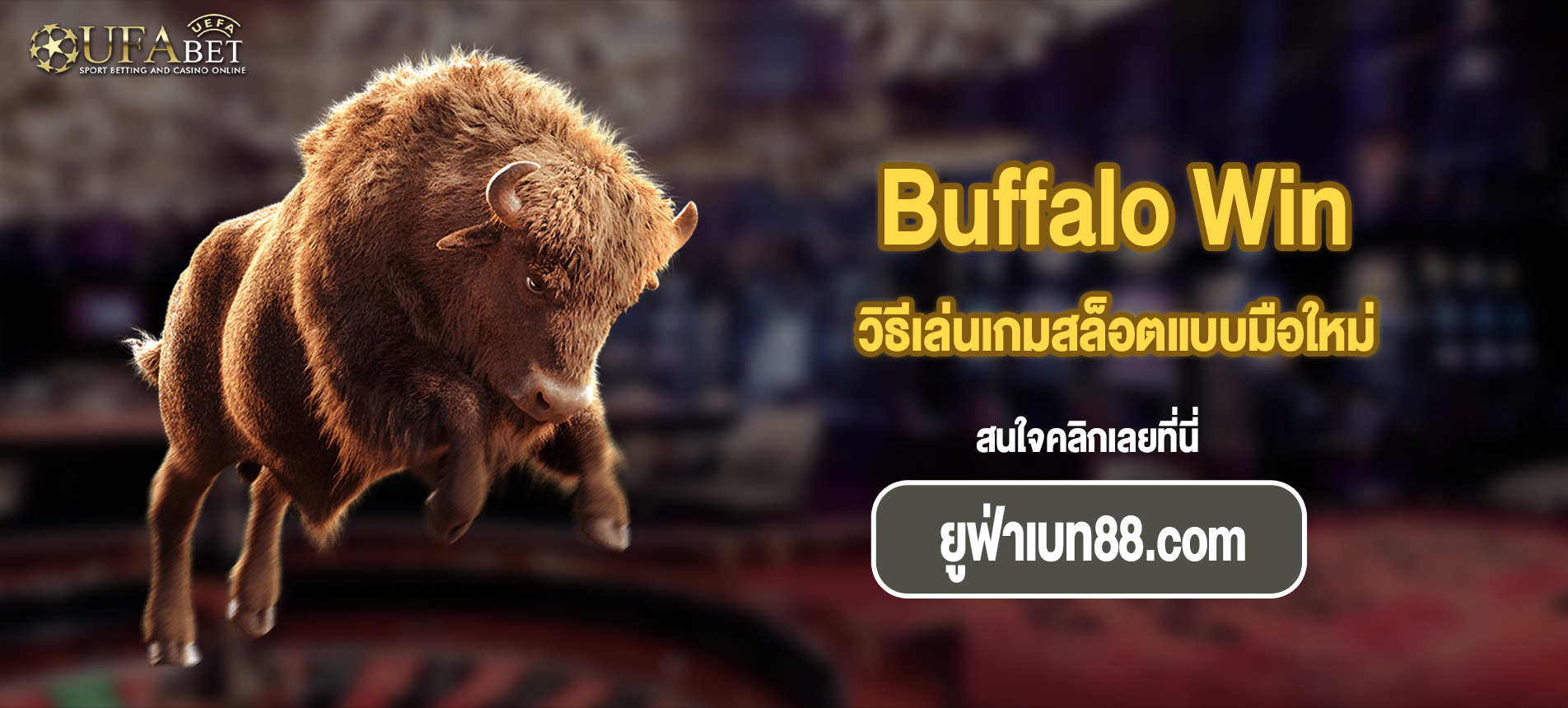 วิธีเล่นเกมสล็อตแบบมือใหม่ Buffalo Win