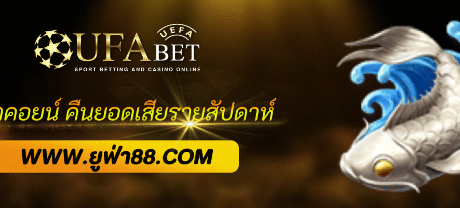 ยูฟ่าคอยน์ คืนยอดเสียรายสัปดาห์